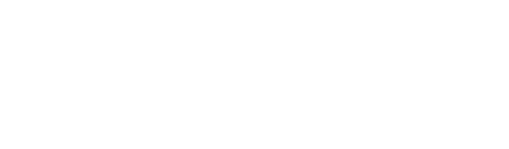 Reality Rigs